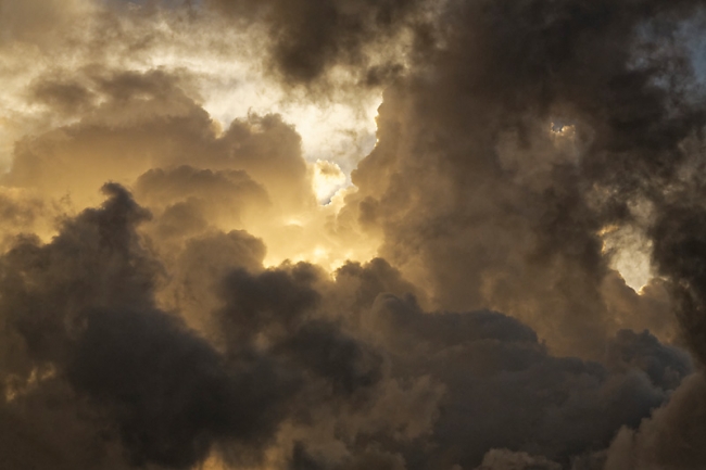 Kandy-Botanical garden-097